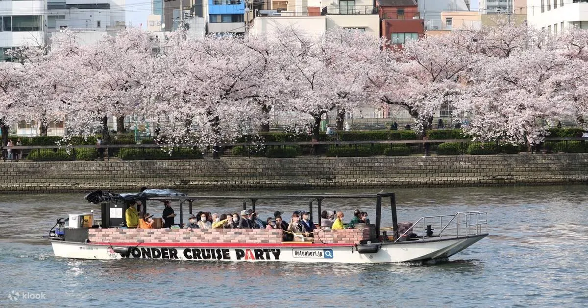 Cherry blossom trees in full bloom lining the Okawa River banks in Osaka in spring